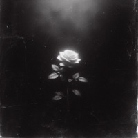 Перекур - Single - Qontrast