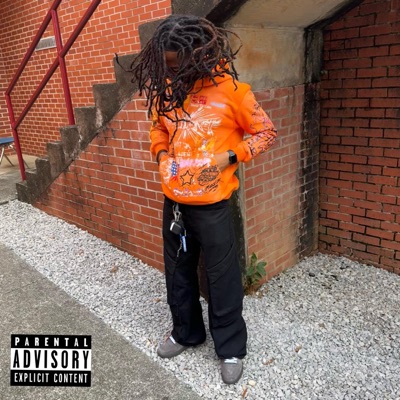 Onna Daily (1 and 2) [feat. Exotic dumperr] - Single