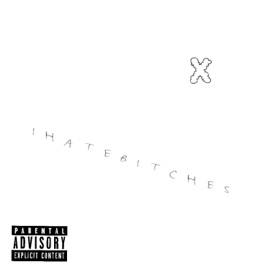 IHATEBITCHES X