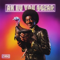 Ah Eu Vou Gozar (1984) - Single - BLOW RECORDS & Nego Bam
