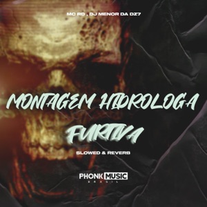 Montagem Hidróloga Furtiva