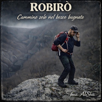 Cammino solo nel bosco bagnato (feat. AIsha) - Single