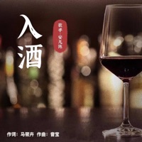 入酒 (DJ九锐版) - Single - 安儿陈