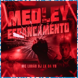 Medley Espancamento MC Lobão & DJ LK DA VB