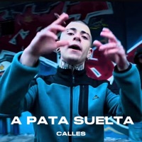 A PATA SUELTA - Single - Calles