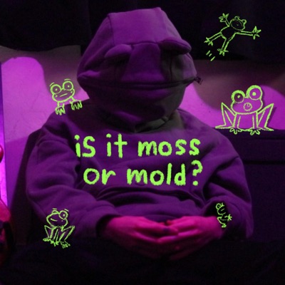 is it moss or mold? - Single