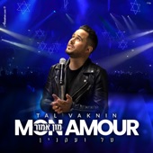 Mon Amour artwork