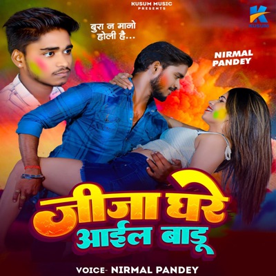 Jija Ghare Aail Baadu - Single