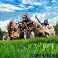 ZOO DAY - Single - Olorun The Producer