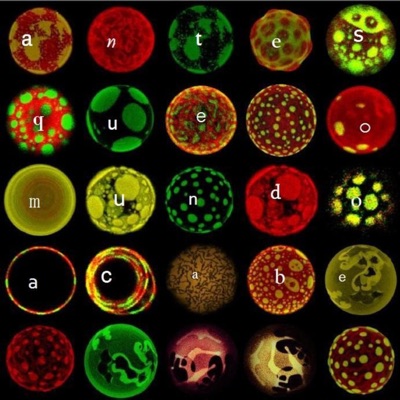 Antes Que O Mundo Acabe - Single