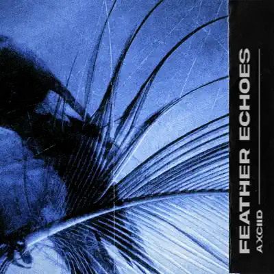 Слушать: Axciid — Feather Echoes - Single