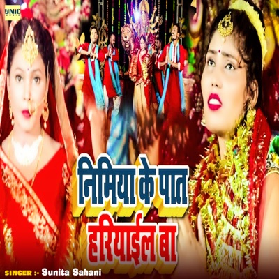 Nimiya Ke Paat Hariyail Ba - Single