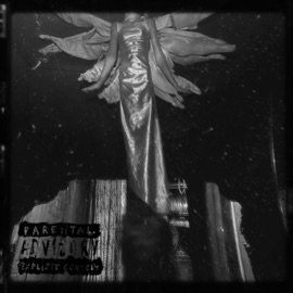 Крыши watchingmedecay.