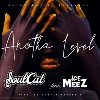 Anotha Level (feat. Ice Meez) - Single - Soulcat
