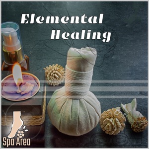 Elemental Healing: Ayurveda’s Guide to Wholeness