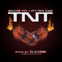 Tnt - Single - SNAKE PIT & RITTER SYD