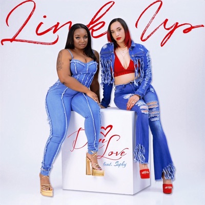 Link Up (feat. Sophy) - Single