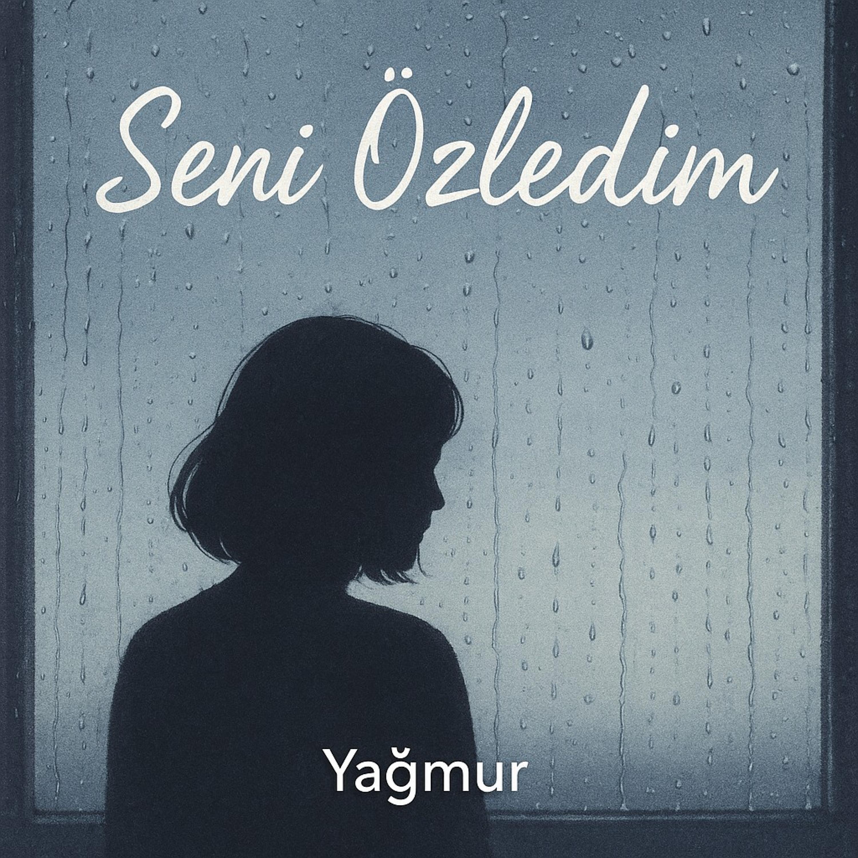 Seni Özledim - Single