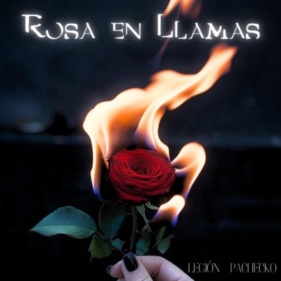 Rosa en Llamas (feat. Pachecko) - Single