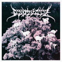 עזים על עצים - Michael Swissa & Slimfim