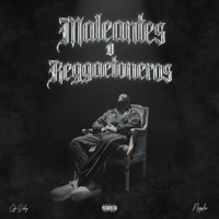 Maleantes o Reggaetoneros - Single - Nogales