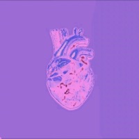 SEGUNDA OPCIÓN - Single - Weather