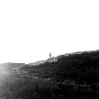 Two Suns Rose - Sad Moses