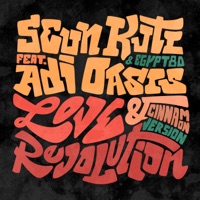Love & Revolution (Cinnamon Version) - Single - Seun Kuti, Egypt 80' & Adi Oasis