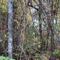 i've been working on myself i hope you're proud - Single - lunie