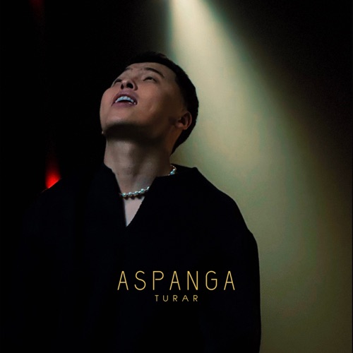 cover for track Aspanga - Single of artist Turar