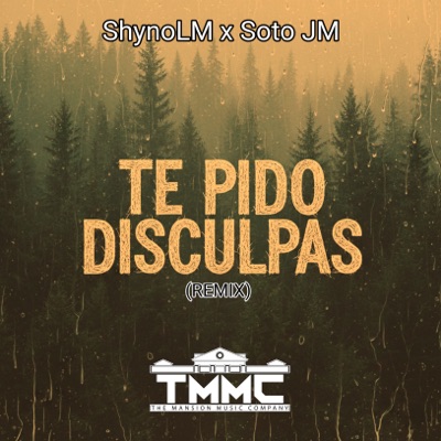 Te Pido Disculpas (Remix) - Single