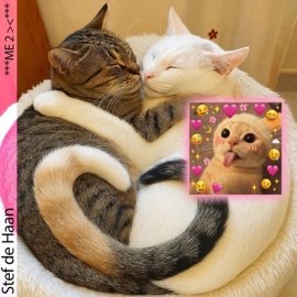 ⊹₊ME 2 ><₊⊹ Stef de Haan