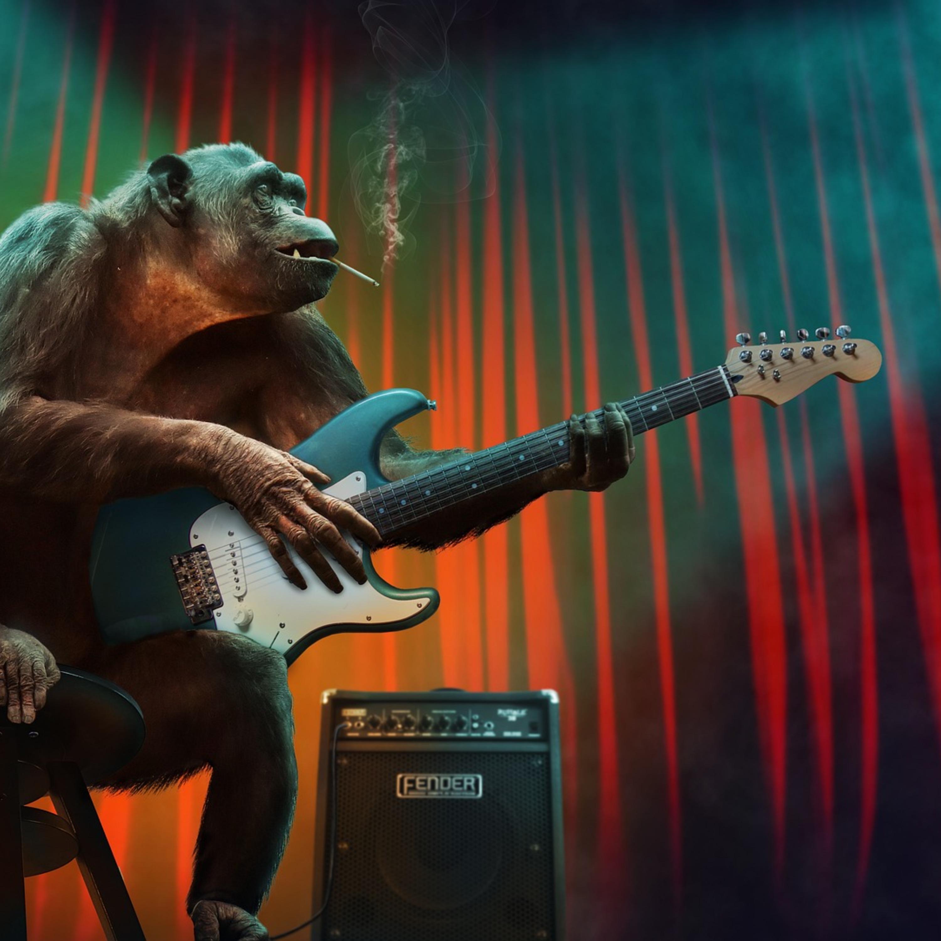 La culpa la tienes tu - Single