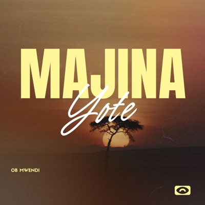 Majina Yote - Single