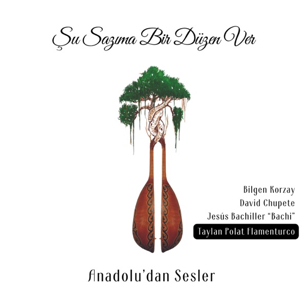 Şu Sazıma Bir Düzen Ver (feat. Jesus Bachiller "Bachi" & David Chupete)