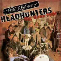 Don't It Make You Wanna Go Home — The Kentucky Headhunters
