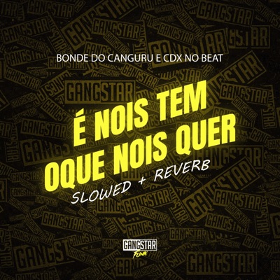 É Nois Tem Oque Nois Quer - Slowed + Reverb - Single