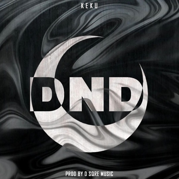 DND (feat. D SQRE MUSIC)