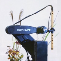 Daylight - EP - Quit Life