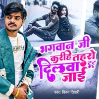 Bhagwan Ji Karihe Taharo Dilwa Toot Jai - Single - Vinay Tiwari