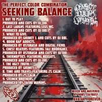 SEEKING BALANCE - Perfect Color Combination