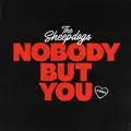 Nobody But You