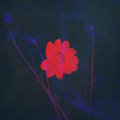 لسة فاكر - Single