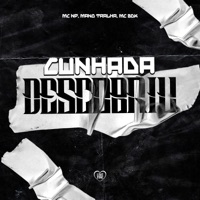 Cunhada Descobriu - Single - MC NP, Mano Tralha & MC BDK