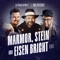 Marmor, Stein und Eisen bricht (Stereoact Remix) artwork