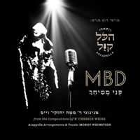 פני משיחך - Single - R' Cheskie Weisz & Mordechai Ben David