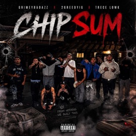 Chip Sum 2GreedyIG