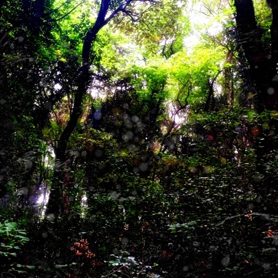 Distempered Landscapes