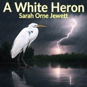 A White Heron - and Other Stories - Jack London, Edna Wahlert McCourt & Sarah Orne Jewett