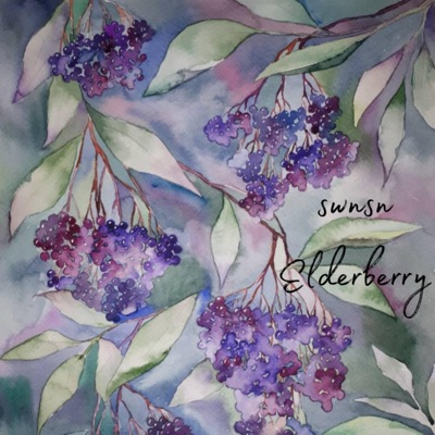 elderberry - EP